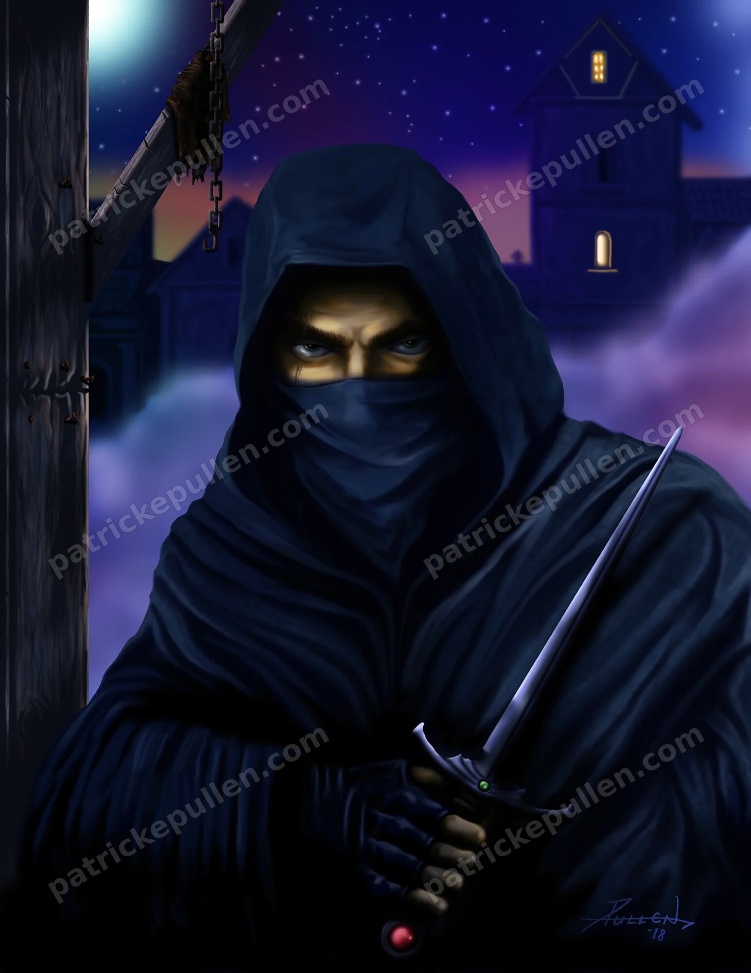 The Rogue Assassin