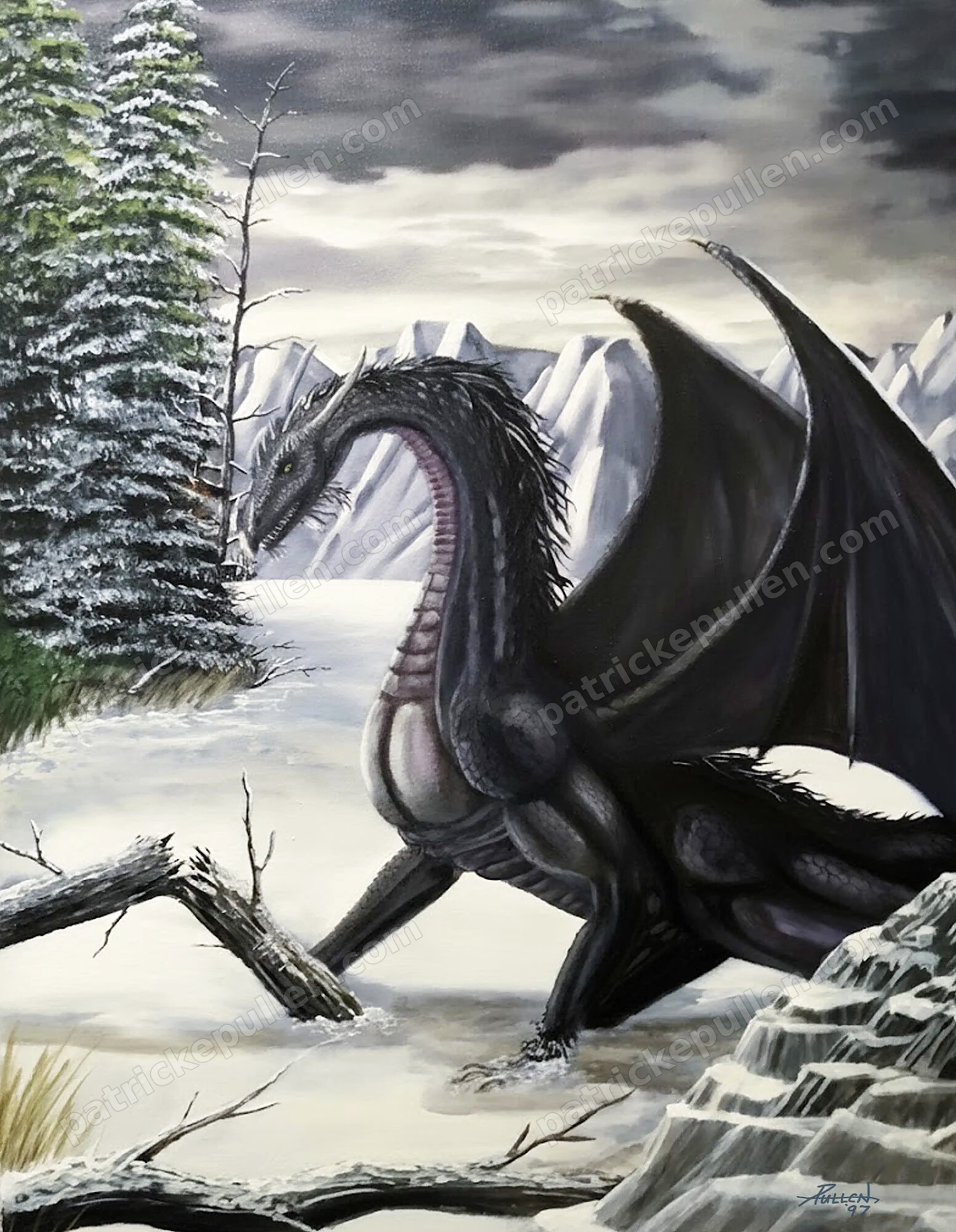 The Winter Dragon